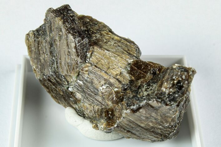 Raw Bronzite (Enstatite) Specimen - Austria #345037